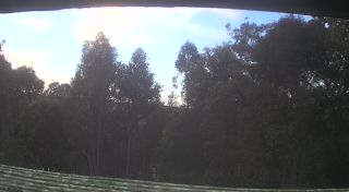 View from rooftop at Home